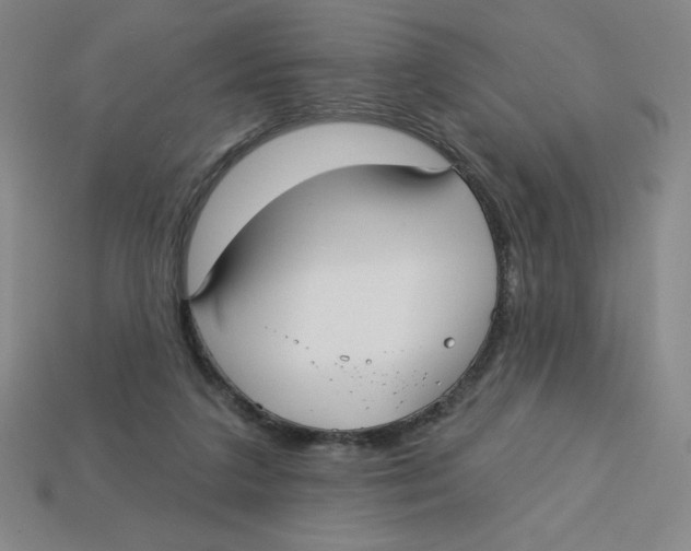 X0000113160211200910021508