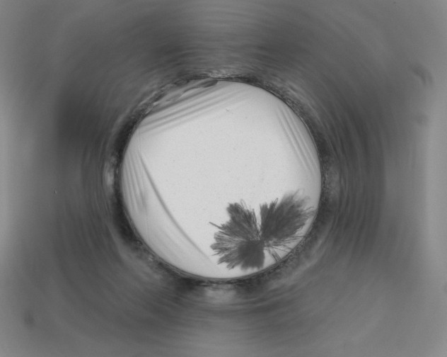 X0000113160214200910021508