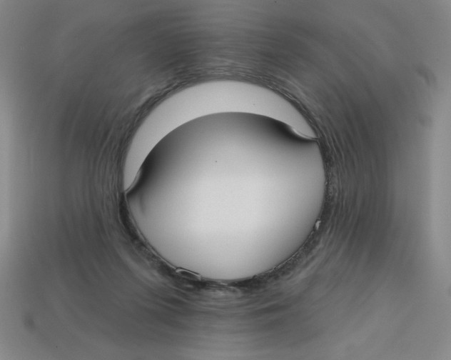 X0000113160215200910021508