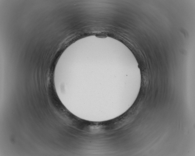 X0000113160216200910021508