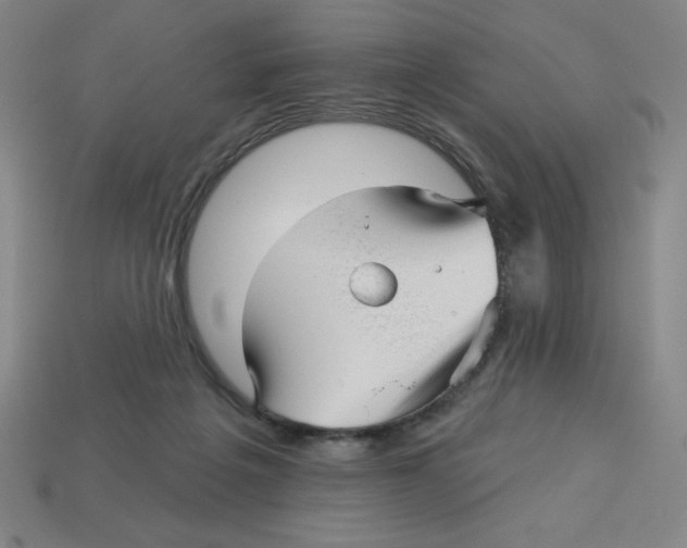 X0000113160217200910021508