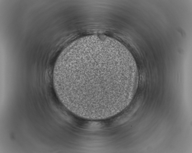 X0000113160218200910021508