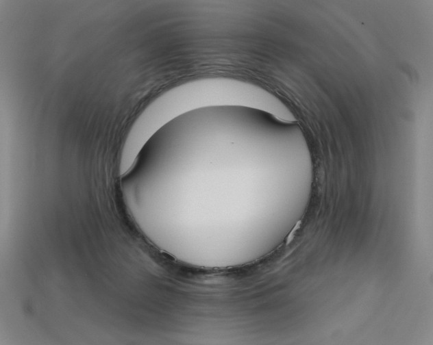 X0000113160219200910021508