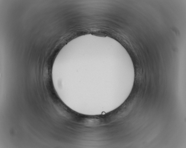 X0000113160220200910021508