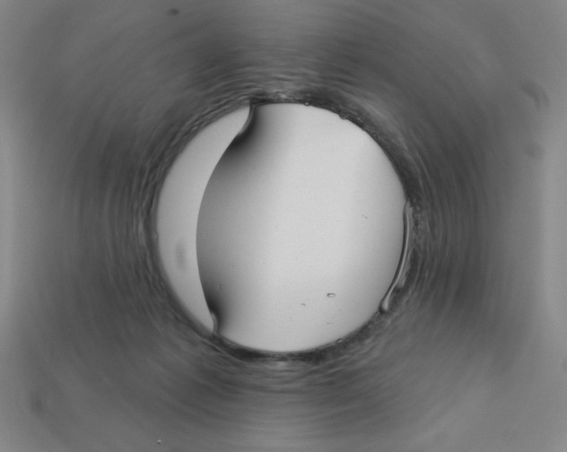 X0000113160221200910021508