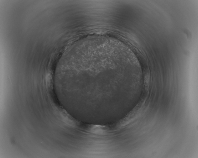 X0000113160222200910021508