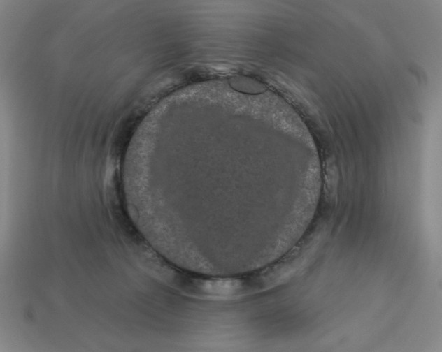 X0000113160225200910021508