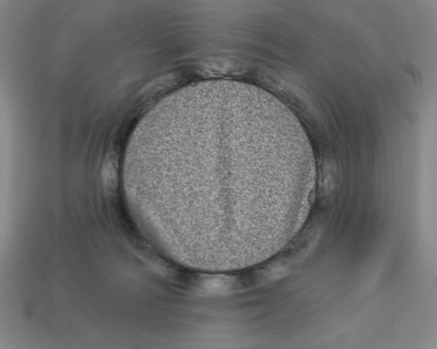 X0000113160226200910021508