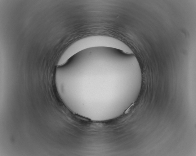 X0000113160227200910021508