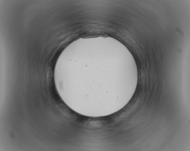 X0000113160228200910021508