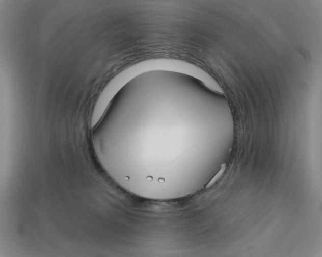 X0000113160229200910021508