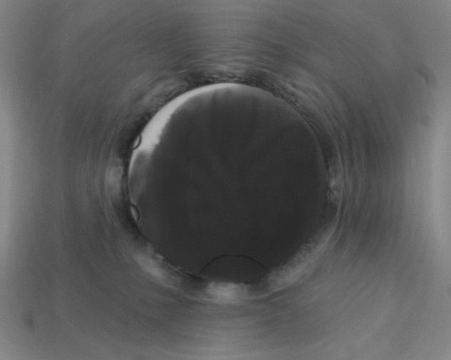 X0000113160231200910021508