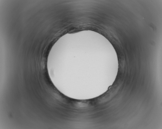 X0000113160232200910021508