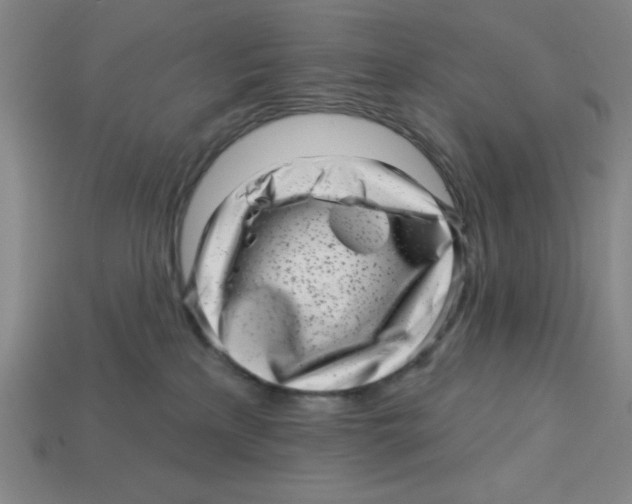 X0000113160233200910021508