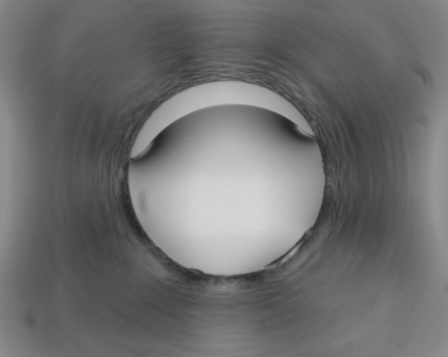 X0000113160235200910021508