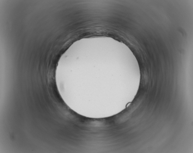 X0000113160236200910021508