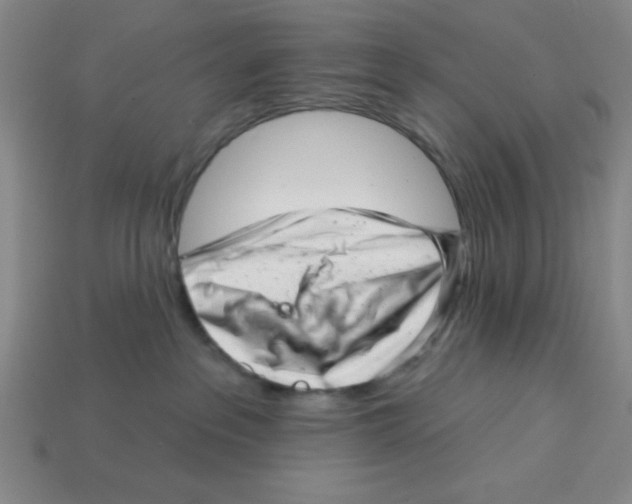 X0000113160237200910021508