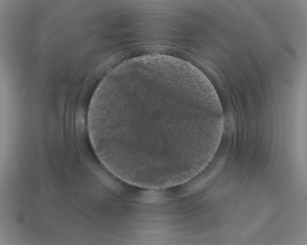 X0000113160238200910021508