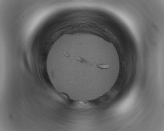 X0000113160239200910021508