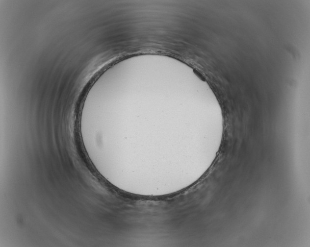 X0000113160242200910021507