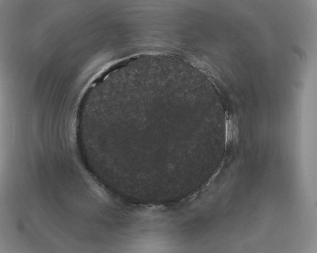 X0000113160243200910021507