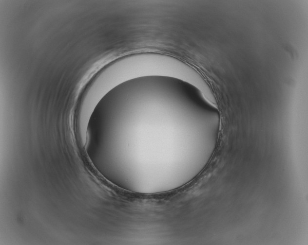 X0000113160244200910021507