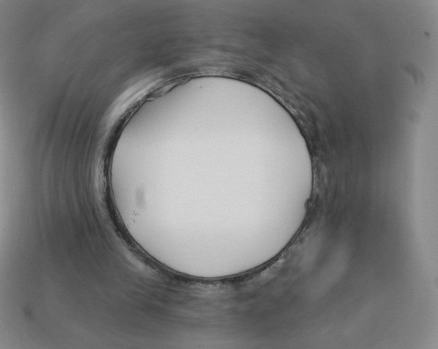 X0000113160245200910021507