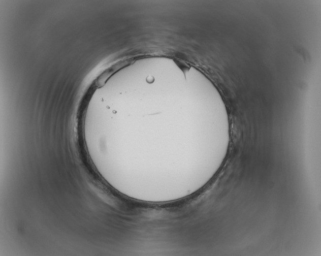 X0000113160246200910021507