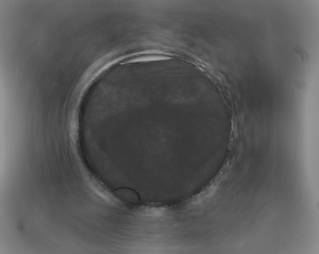 X0000113160247200910021507