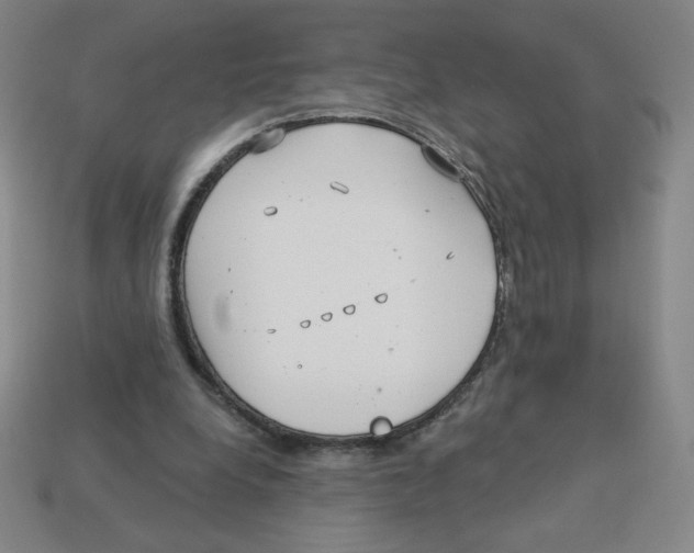 X0000113160248200910021507