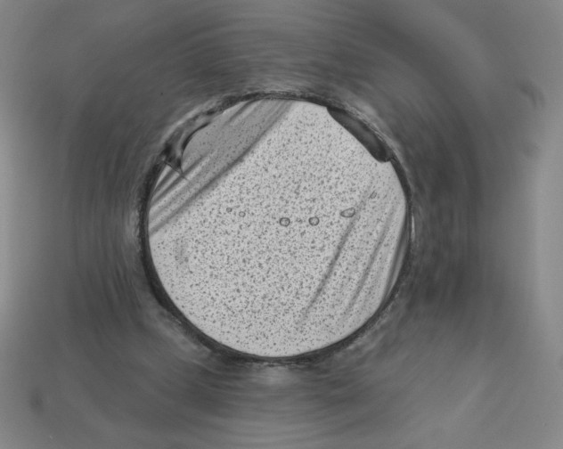 X0000113160249200910021507