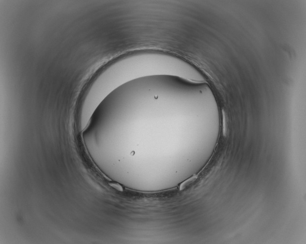 X0000113160252200910021507