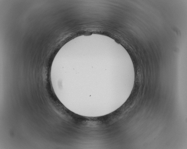 X0000113160255200910021507