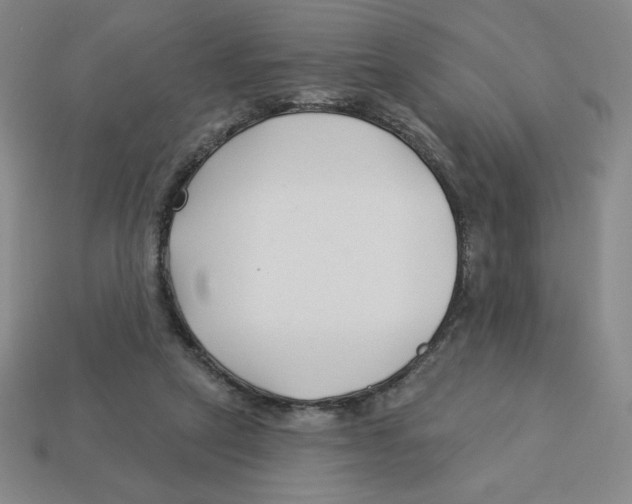 X0000113160257200910021507