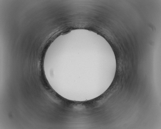 X0000113160258200910021507