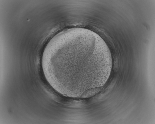 X0000113160260200910021507