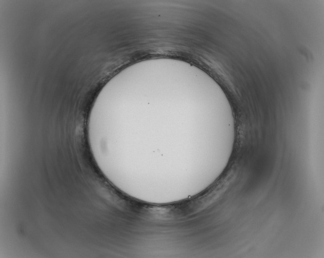 X0000113160265200910021507