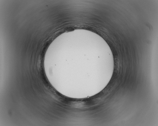 X0000113160266200910021507