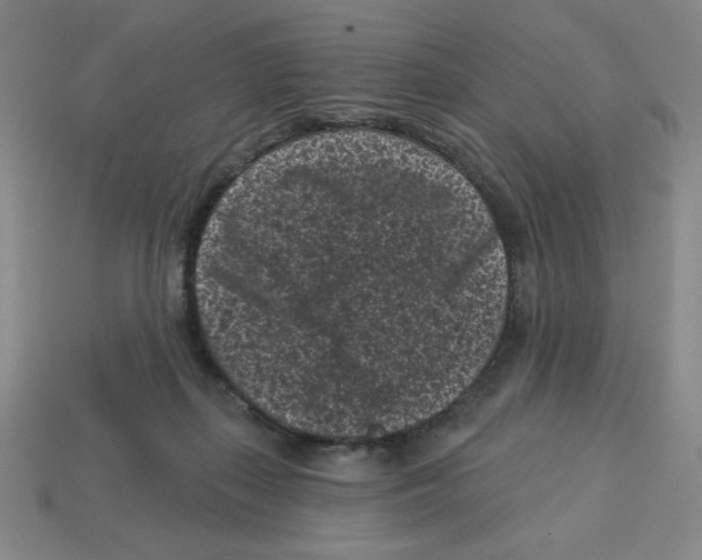 X0000113160267200910021507