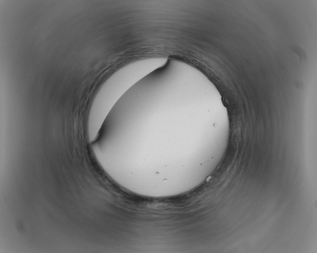 X0000113160268200910021507