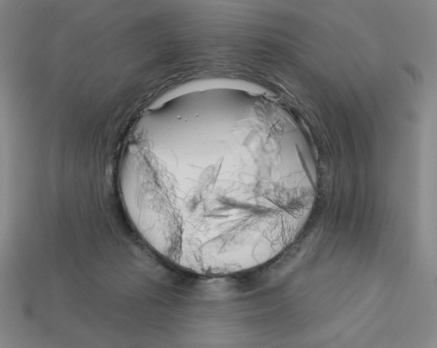 X0000113160269200910021507