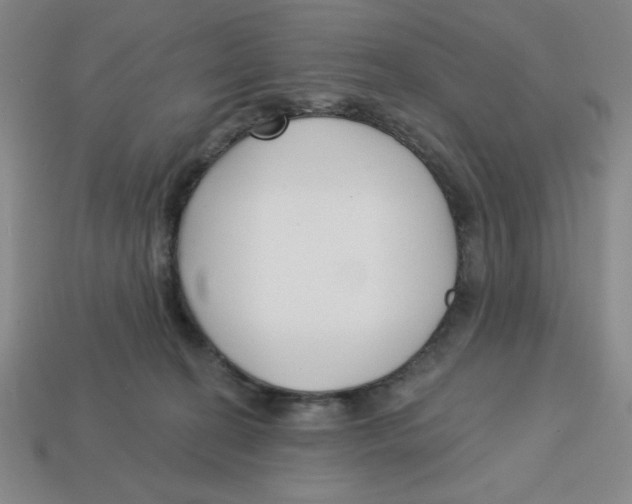 X0000113160274200910021507