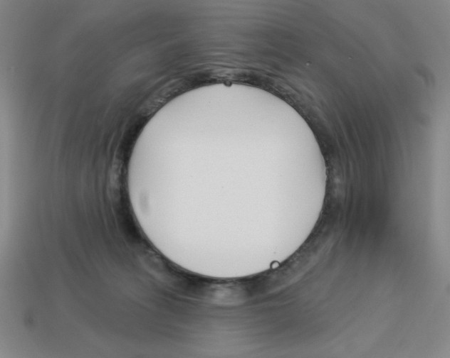 X0000113160275200910021507