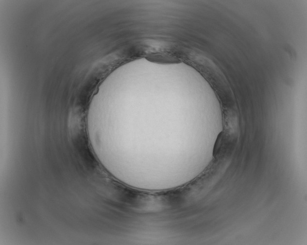 X0000113160276200910021507