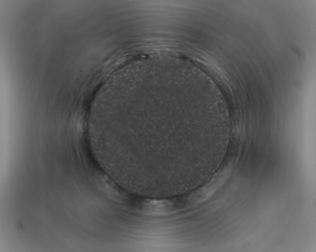 X0000113160277200910021507