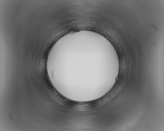 X0000113160278200910021507