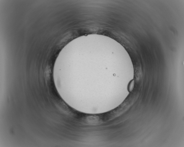 X0000113160279200910021507