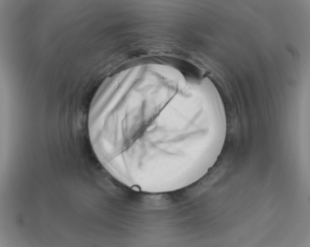 X0000113160281200910021507