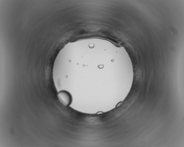 X0000113160283200910021507