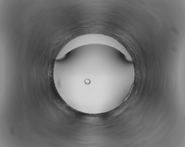 X0000113160284200910021507